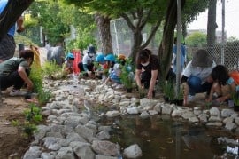 池のあるビオトープ完成